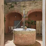 Regis Siena